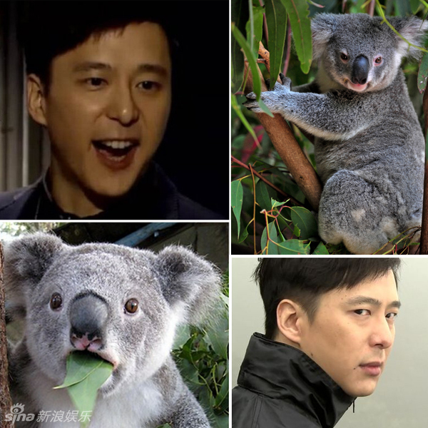 不小心就撞臉了！盤點(diǎn)動(dòng)物界的明星相