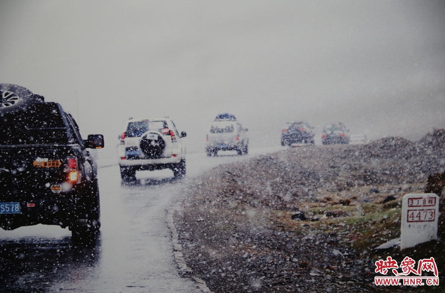 賽車的世界、更是男人的世界。圖為部分參展攝影作品。