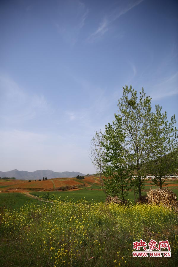 庫區(qū)的藍天、白云、綠樹、黃花給人清新的享受