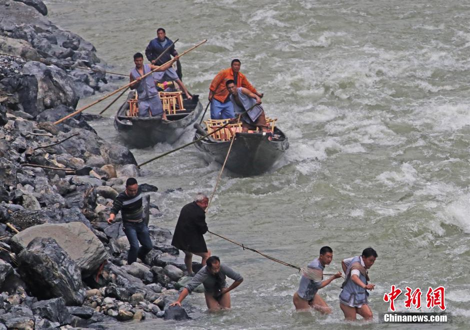 纖夫在神農(nóng)溪畔牽引木船溯溪而上。