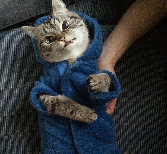 身穿浴袍的Loki好像看起來也沒那么兇哦。