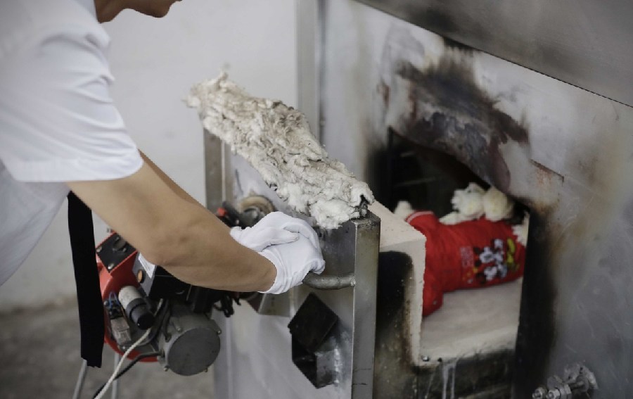 工作人員將狗狗推入火化爐。