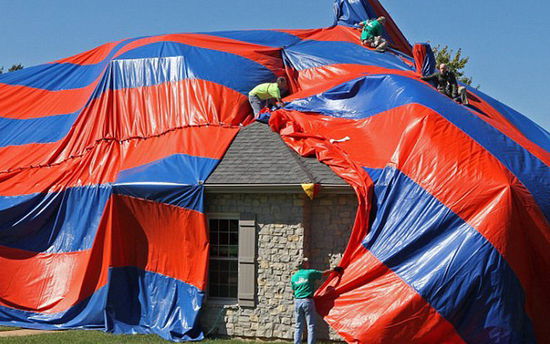 美家庭新買(mǎi)住房中發(fā)現(xiàn)6000只毒蜘蛛 獲賠47萬(wàn)美元(組圖)