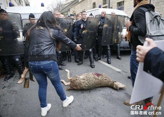 　　當?shù)貢r間2014年11月27日，法國巴黎，法國農(nóng)民帶綿羊在埃菲爾鐵塔附近抗議，要求環(huán)保部門采取有效措施解決狼群襲擊羊群問題。　圖片來源：TRICK KOVARIK/CFP