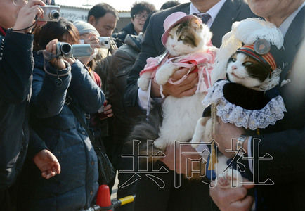 圖為粉絲們簇?fù)碇鞍⒂瘛闭鹃L(zhǎng)（右）。左側(cè)為其部下“二玉”。