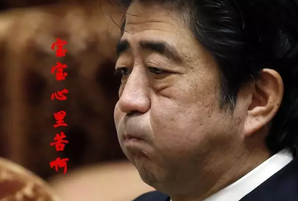 這種看安倍“熱鬧”的事兒，環(huán)環(huán)絕不私藏，一定雨露均沾!