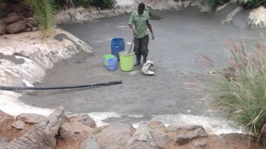 穆克的養(yǎng)殖場，鱷視眈眈下的工作人員。