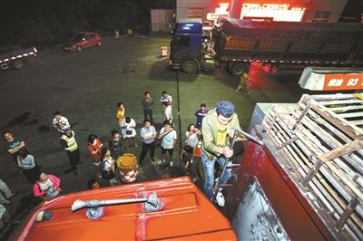 浙江動(dòng)保人士高速攔車救貓 假稱出車禍叫來(lái)民警