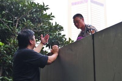 黃主任站在獨(dú)木樁上與男子交談了近半小時(shí)。