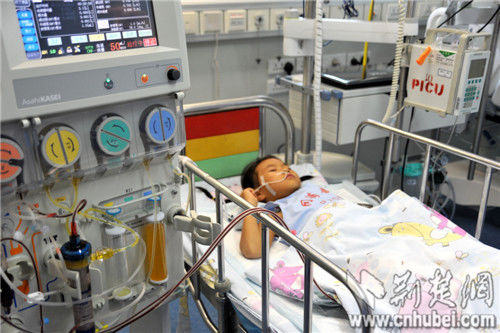 圖為：正在換血漿的丹丹還不知道姐姐已經離開了自己