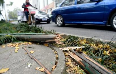 事發(fā)現(xiàn)場，嫌疑車輛撞壞的木樁。