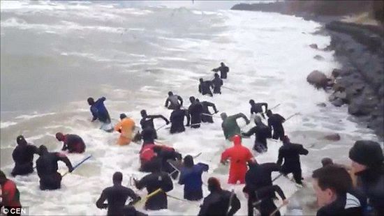 一場(chǎng)暴雨后，俄羅斯加里寧格勒Pionersky鎮(zhèn)，數(shù)十人潛入海水中搜尋琥珀。