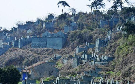 浙江紹興墓群為復(fù)綠遭刷綠漆 當(dāng)?shù)胤Q(chēng)因難種樹(shù)(圖)