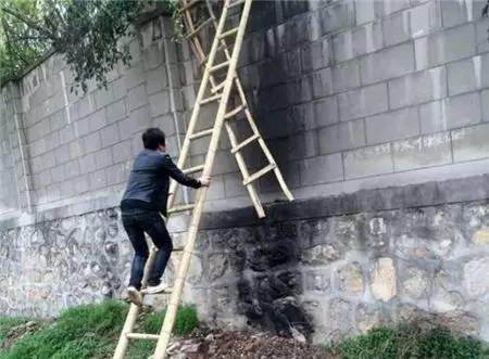 2女1男為逃票翻墻進(jìn)動物園 落地時周圍站了7只虎