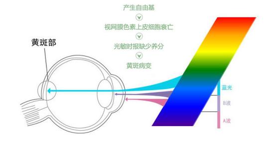 真能亮瞎眼？如何減少手機(jī)對(duì)眼睛的傷害