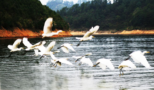 考完去哪兒？千島湖中、高考生門(mén)票大優(yōu)惠！