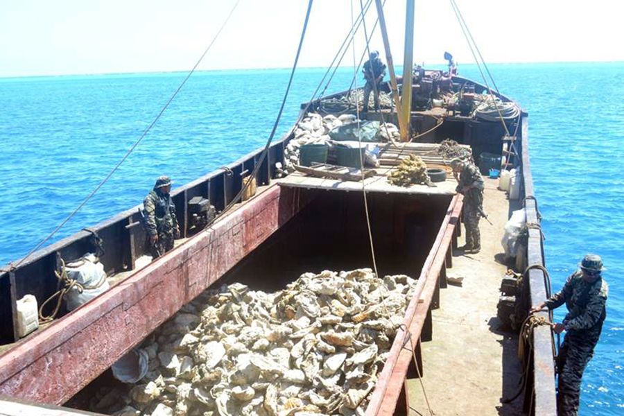 被檢查的中國(guó)漁船被菲方指控為非法捕魚(yú)。圖為菲律賓海軍持槍檢查中國(guó)漁民的照片。