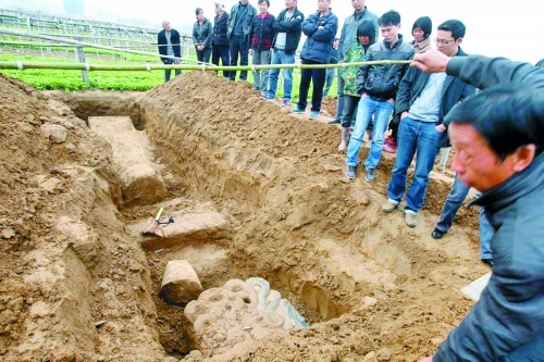 碑帽、赑屃、碑座、碑身依次排開(kāi)