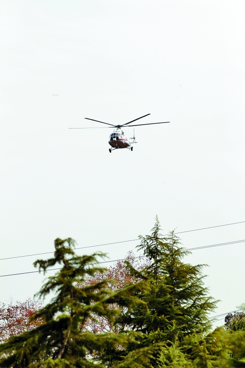 輕拋一點入云去，利眼“鐵鷹”掠地來