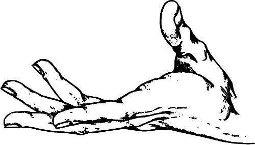 　時(shí)間：拿到通知書(shū)，未報(bào)到就可申請(qǐng)