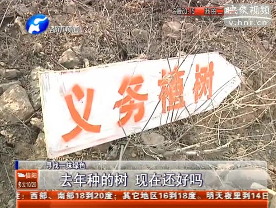 去年種的樹(shù) 現(xiàn)在還好嗎？