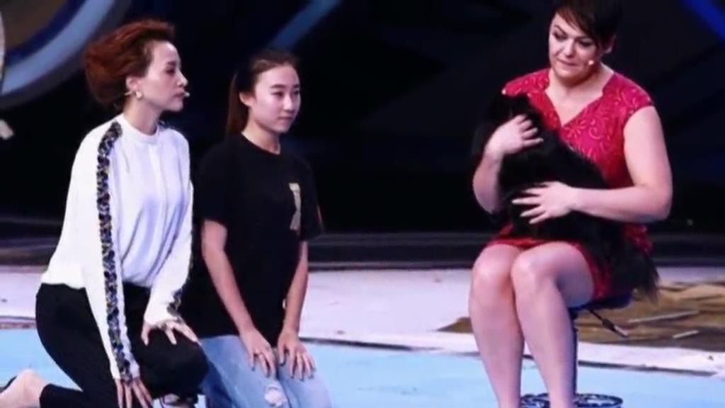 又當托？ 董卿節(jié)目現(xiàn)場當眾對狗下跪稱被催眠