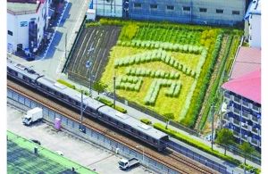 日本2005年列車事故現(xiàn)場附近的一塊農(nóng)田里勾勒出一個“命”字，以警世人。