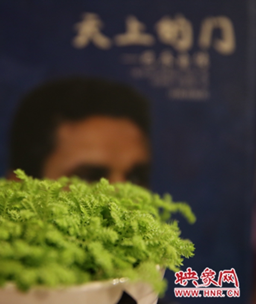 書架上精心布置的綠色植物。