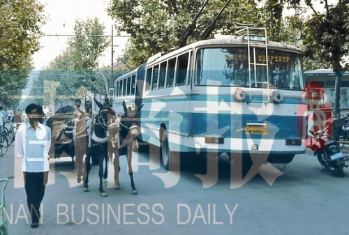 當(dāng)年的伏牛路，驢車和公交車并行